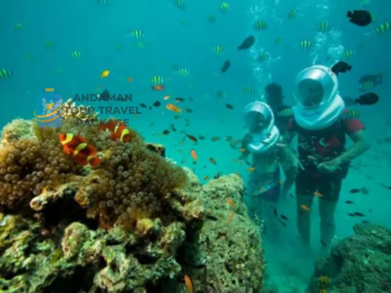 Andaman and Nicobar Tour packages