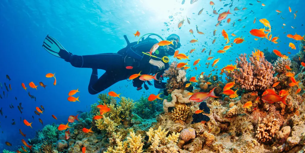 Andaman Tour Packages with Scuba Diving