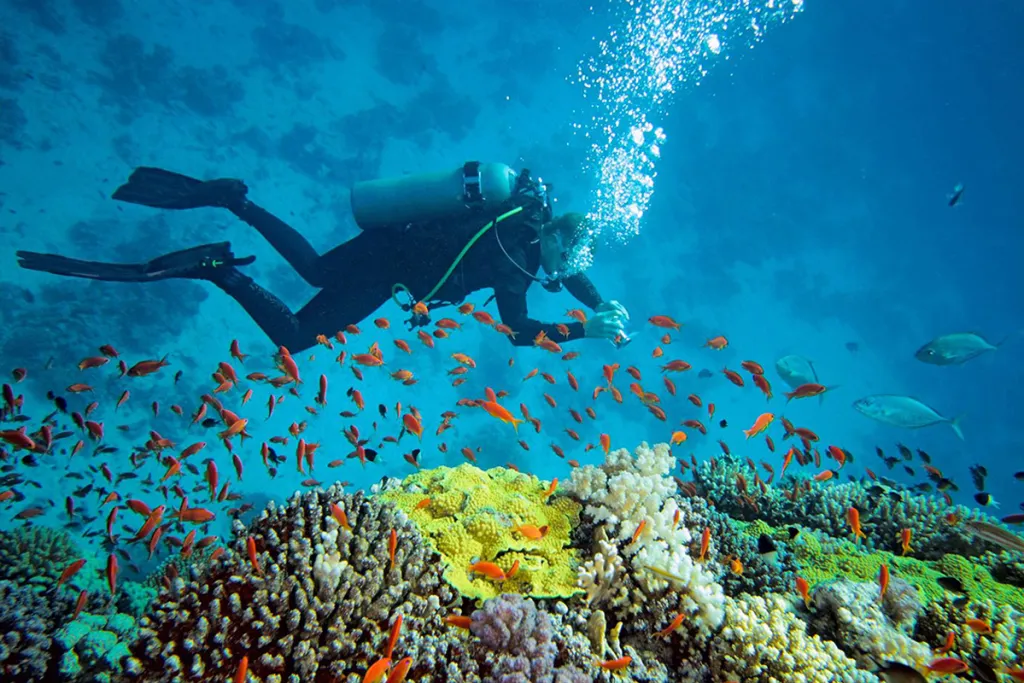 Andaman Tour Packages with Scuba Diving