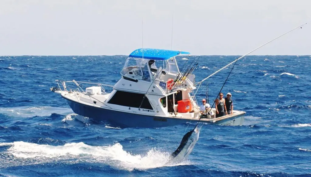 Game Fishing in Andaman Island