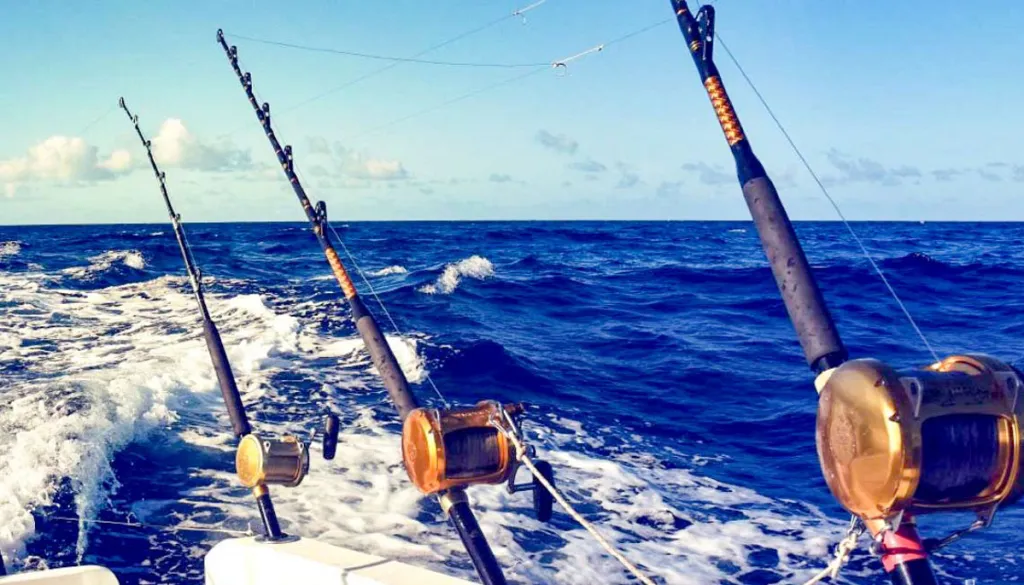 Andaman Game Fishing packages