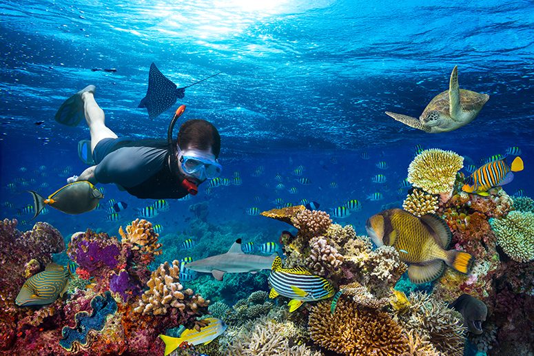 Andaman Tour Packages with Scuba Diving