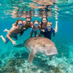 andaman wildlife images