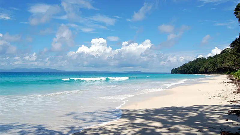 Andaman family tour packages 2 nights 3 days