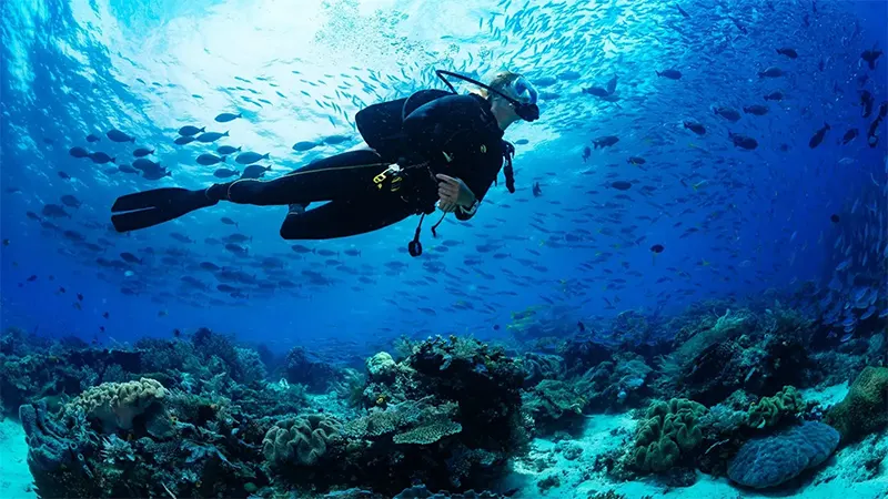 Discover Unmissable Andaman Adventure Tour Packages