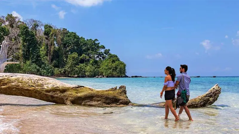 Eco-Friendly Honeymoon in Andaman
