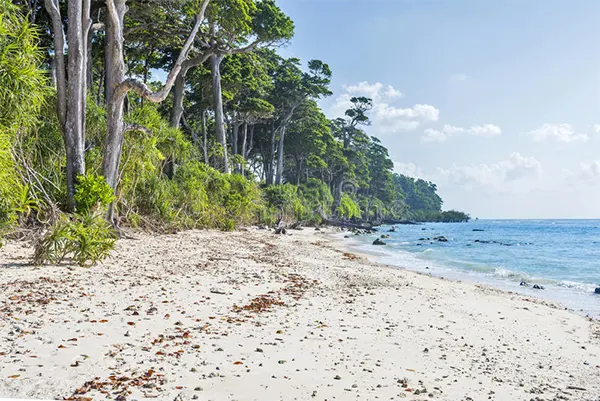 Laxmanpur Beach in Neil Island