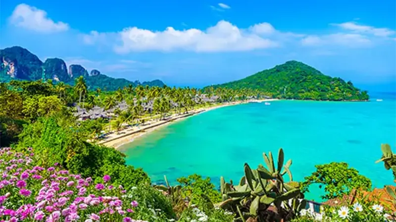 The Best Tourist Spots & Season in Andaman