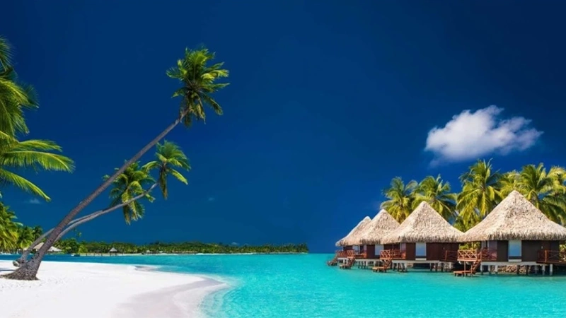 Andaman Luxury Escape 5 Nights 6 Days