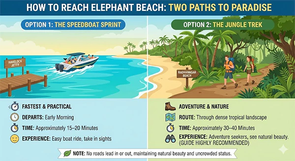 How to Reach Elephant Beach