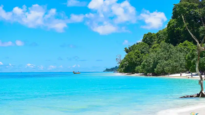 havelock swaraj dweep