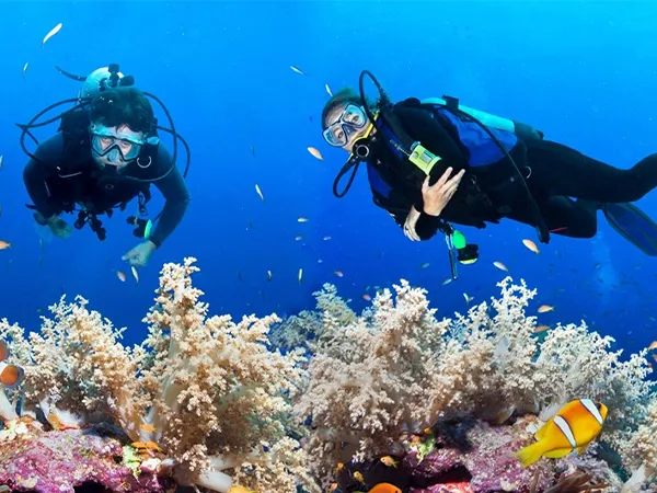 Scuba diving at Nemo Beach Haveloc