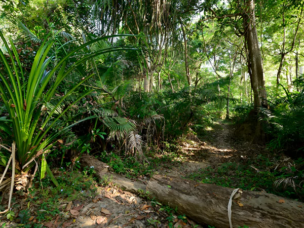 Trekking at Saddle Peak