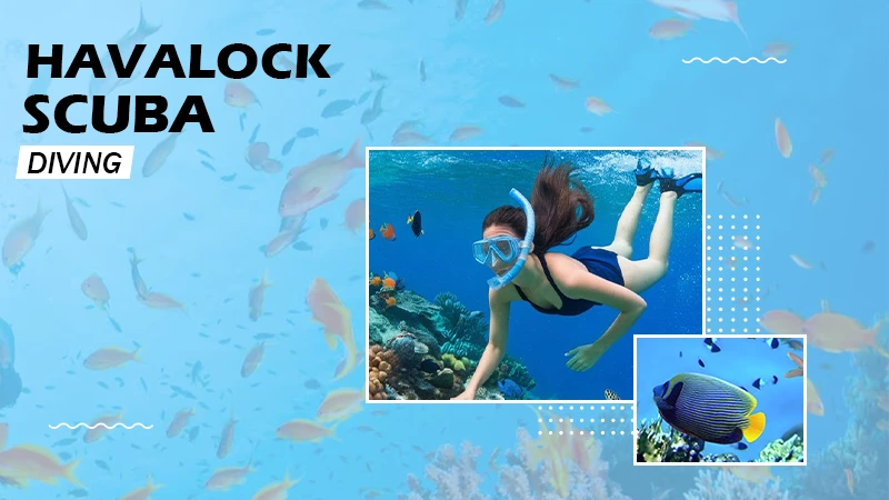 scuba diving in Nemo beach