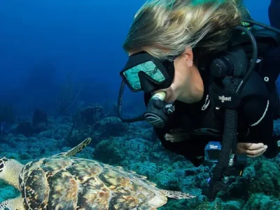 diving-in-barren-island